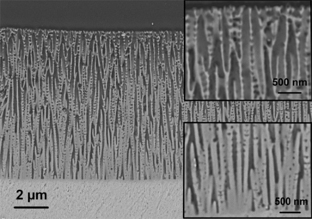 Morphologie d’un oxyde anodique élaboré sur un alliage d’aluminium commercial (Al5657) dans H3PO4 1 M (90 V, 60 min).