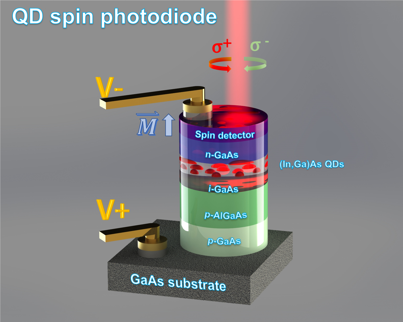 Conception de la photodiode à spin à magnétisation perpendiculaire