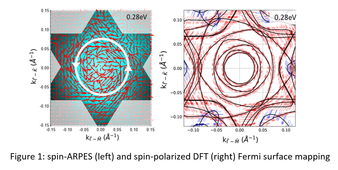 spin-ARPES (left) and spin-polarized DFT (right) Fermi surface mapping