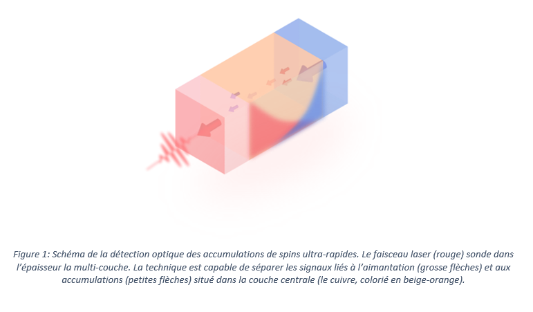 Schéma de la détection optique des accumulations de spins ultra-rapides