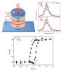 Structure and optical emission of a spin-LED with a Mo/CoFeB/MgO injector with a perpendicular magnetic anisotropy.