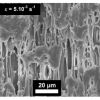 SEM image during a Videotraction test on PP / EPR at T = 30 ° C and for a residual deformation of 1.2 showing the damage phenomenon by cavitation