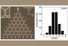 Tunable stochasticity in an artificial spin network