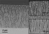 Morphologie d’un oxyde anodique élaboré sur un alliage d’aluminium commercial (Al5657) dans H3PO4 1 M (90 V, 60 min).