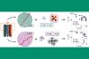 A gauche, schéma d’un supercondensateur utilisant comme électrodes des matériaux carbonés à porosité ordonnée (en vert) ou désordonnée (en violet). Ces carbones ordonnés ou désordonnés se comportent remarquablement bien avec des électrolytes aqueux et organiques (au centre), respectivement, si l’on compare la rétention de capacité quand la densité de courant augmente (figures de droite).