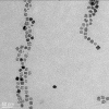 Micrographie par microscopie electronique en Transmission de Nanoparticules cubiques de type core/shell de compostion Zn0.4Fe2,6O4@MnFe2O4