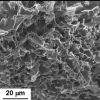 Nitrogen-doped graphene foam: platinum-free catalyst for oxygen reduction reaction of proton exchange membrane fuel cell
