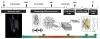 Find and establish the relationships between the true mechanical behaviour laws at the macroscopic scale & the micromechanisms of deformation at the chains and structures scales